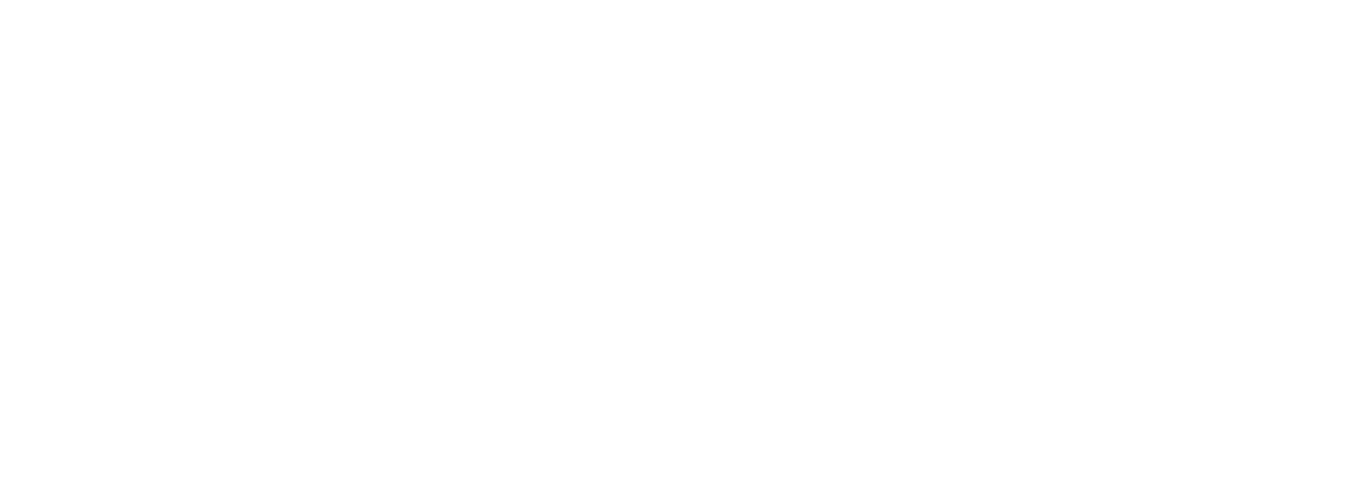 Logo blanco NGH